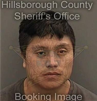 Dainier Reyes-Mas, - Hillsborough County, FL 