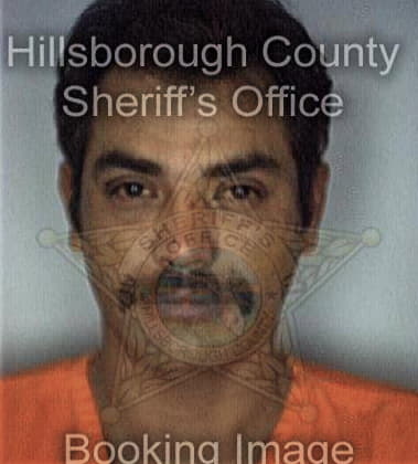 Jason Branly - Hillsborough County, FL 