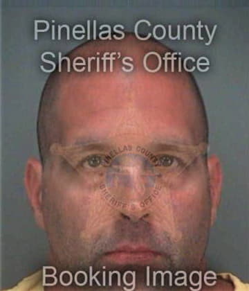 Ashraff Elshemy, - Pinellas County, FL 