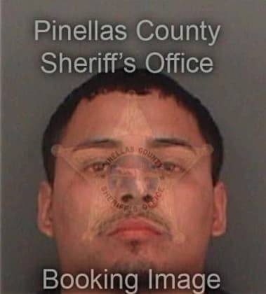 Cruz Garcia, - Pinellas County, FL 