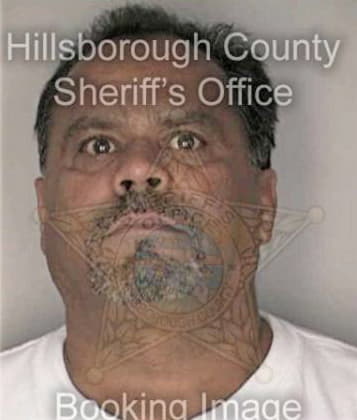 Daniel Garciaestupinon, - Hillsborough County, FL 