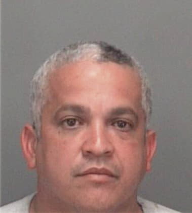 Martin Garnica, - Pinellas County, FL 