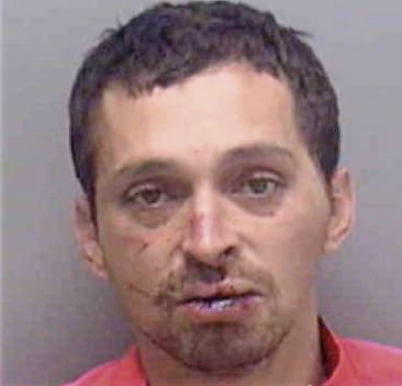 Javier Lloret - Lee County, FL 