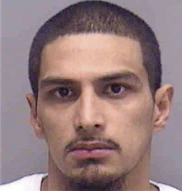 Mario Roberto-Pu-Ordonez, - Lee County, FL 