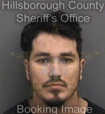 David Alicea, - Hillsborough County, FL 