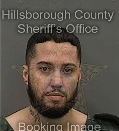 Leonel Avila, - Hillsborough County, FL 