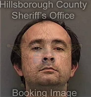 Ronald Colon-Gonzalez, - Hillsborough County, FL 