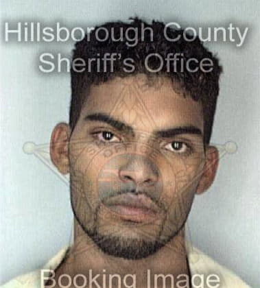 Mario Gutterrez, - Hillsborough County, FL 