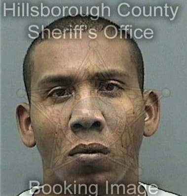 Marco Hernandezmendez - Hillsborough County, FL 