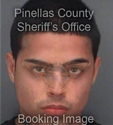 Felix Vega, - Pinellas County, FL 