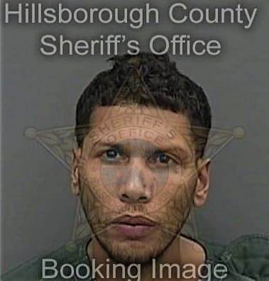 Thomas Hastings, - Hillsborough County, FL 