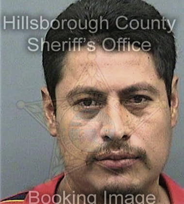 Gregory Kimball, - Hillsborough County, FL 