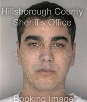 Nestor Masso, - Hillsborough County, FL 