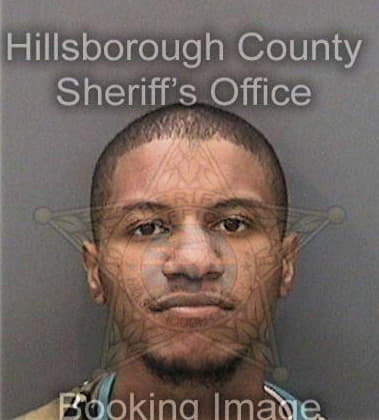 Serigo Pachecomachadodesavi, - Hillsborough County, FL 