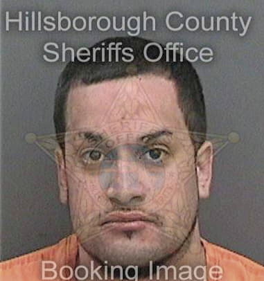 Joshua Pierola, - Hillsborough County, FL 