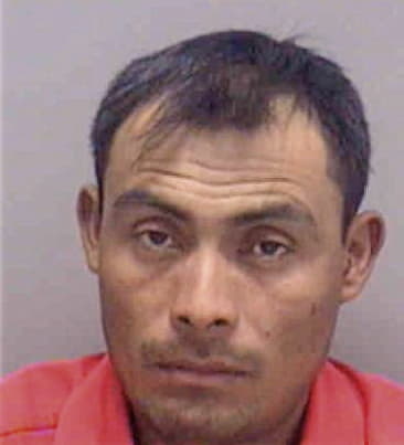 Frank Ramirez, - Lee County, FL 