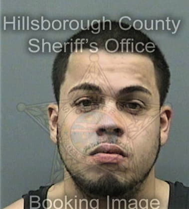 Nelson Rivera - Hillsborough County, FL 