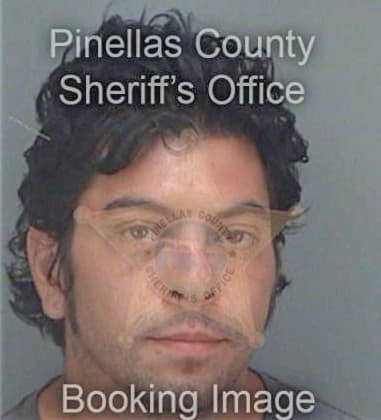 Martin Schroeder, - Pinellas County, FL 