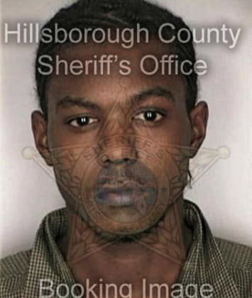 Mario Stjohn, - Hillsborough County, FL 