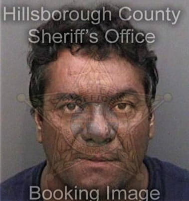 Luis Torresreyes, - Hillsborough County, FL 