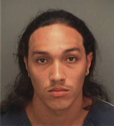 Arnaldo Burgos, - Pinellas County, FL 