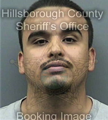 Brandon Carpenter, - Hillsborough County, FL 