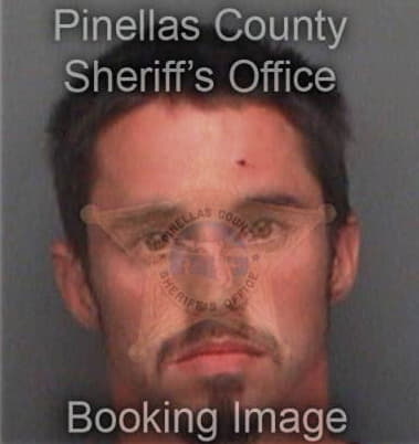 Wesley Hamilton, - Pinellas County, FL 