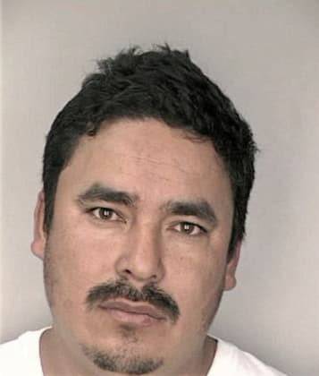 Norman Hernan - Hillsborough County, FL 