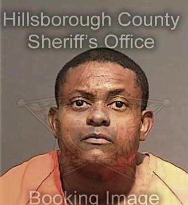 Desmine Lacan, - Hillsborough County, FL 