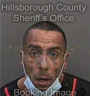 Hector Lugo, - Hillsborough County, FL 