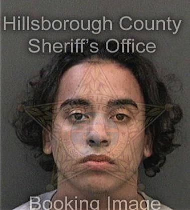 Larry McCullum - Hillsborough County, FL 
