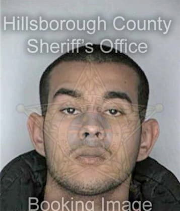 Richard McHan - Hillsborough County, FL 
