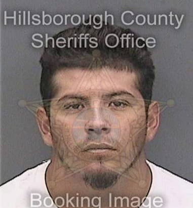 Joshua Medina - Hillsborough County, FL 