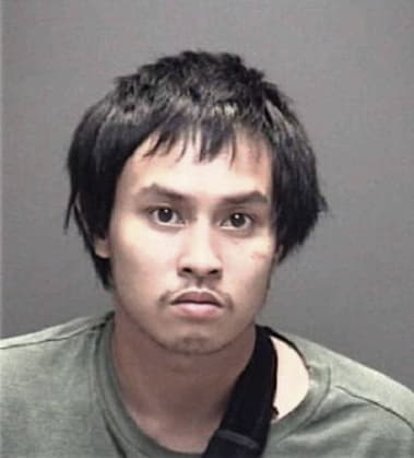 Sonny Nguyen, - Galveston County, TX 