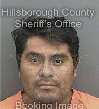 Pedro Nievessantiago, - Hillsborough County, FL 