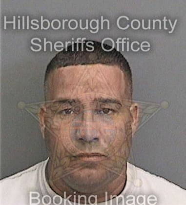 Jonathan Palermo, - Hillsborough County, FL 