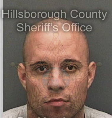 Anthony Roman, - Hillsborough County, FL 