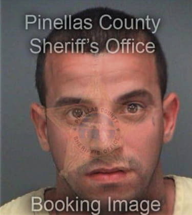 Nedal Ahmad, - Pinellas County, FL 