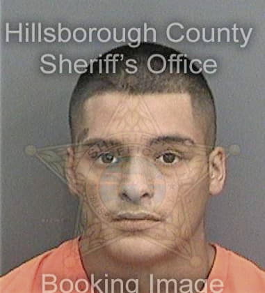 Nathaniel Howell, - Hillsborough County, FL 