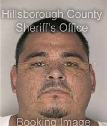 Steven Linares, - Hillsborough County, FL 