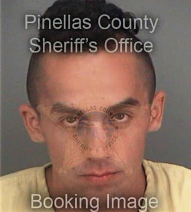 Richard Logan, - Pinellas County, FL 