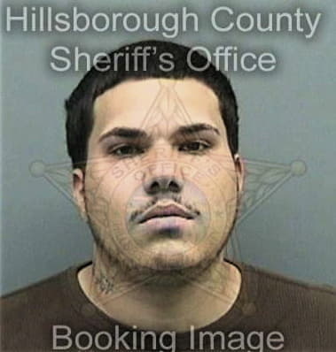 Hugo Lopezolmedo, - Hillsborough County, FL 