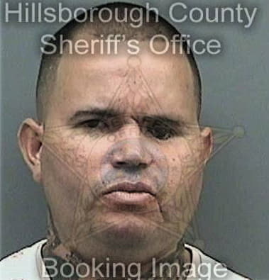 Christopher Marshall, - Hillsborough County, FL 