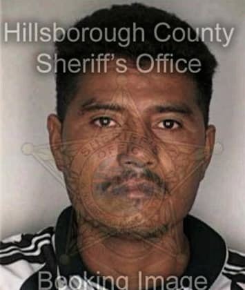 Mareo Martinez, - Hillsborough County, FL 