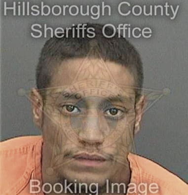 Jorge Perezmir, - Hillsborough County, FL 