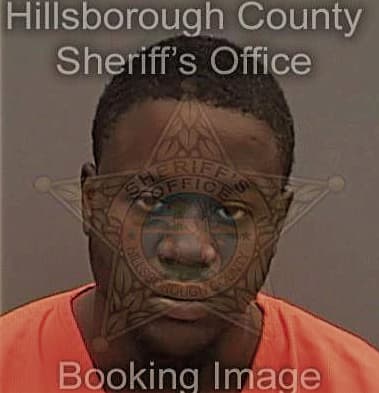 Joseph White - Hillsborough County, FL 