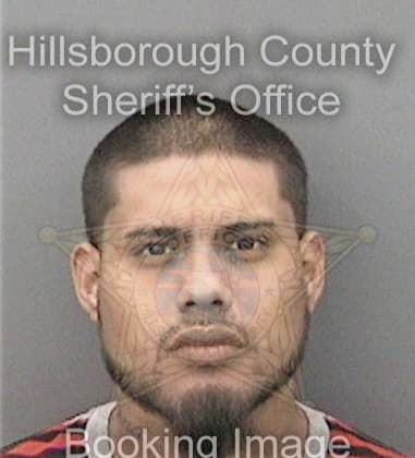 Semi Aviles, - Hillsborough County, FL 