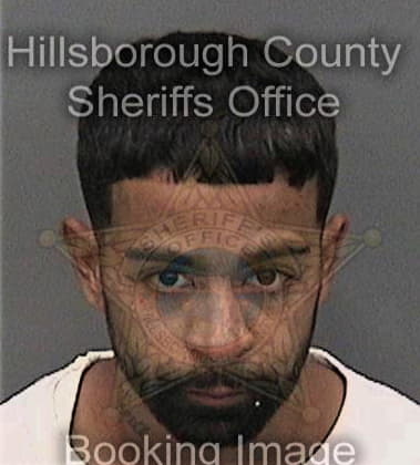 Felipe Garcia, - Hillsborough County, FL 