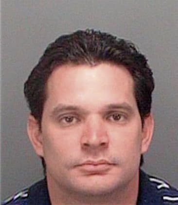 Victor Manzanohernandez, - Pinellas County, FL 