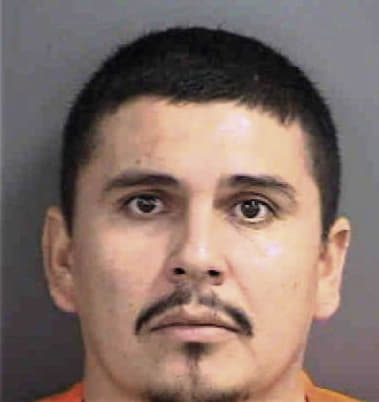 Andres Miranda, - Collier County, FL 